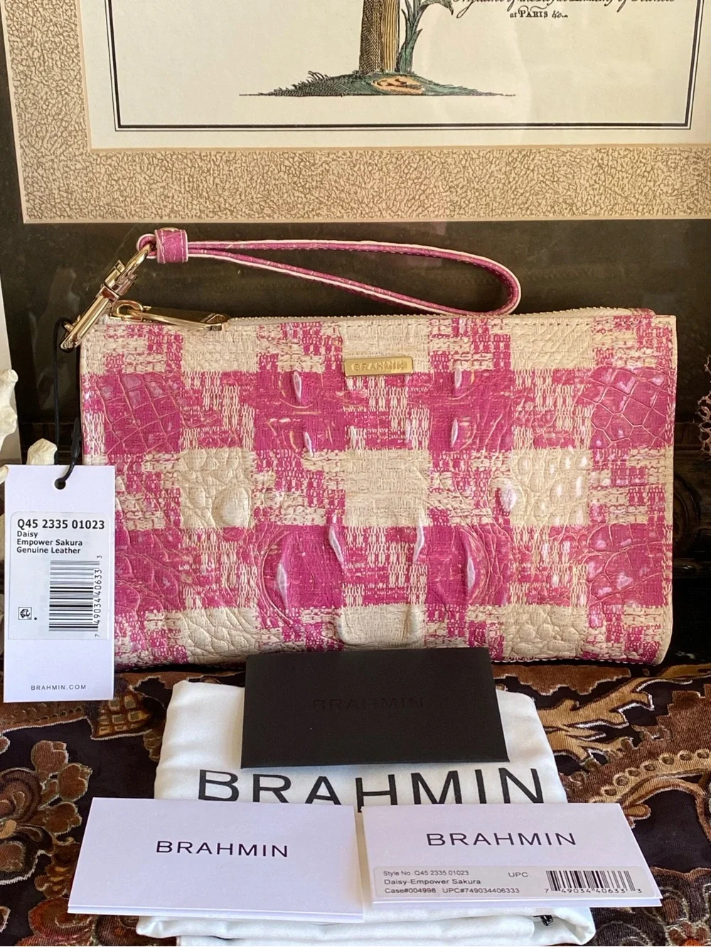 Brahmin Daisy